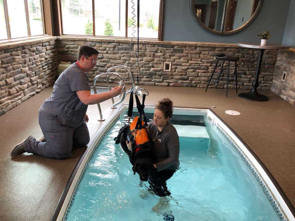 therapy pools for veterinarians