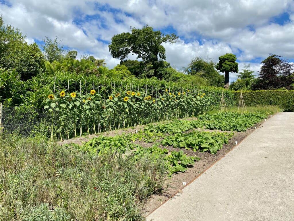 Things to do in Cornwall Easter - The Lost Gardens of Heligan