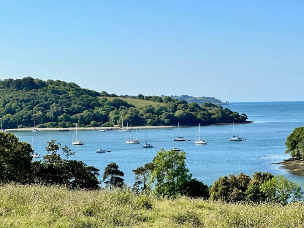 National Trust Trelissick Garden Review - View out over the River Fal Estuary