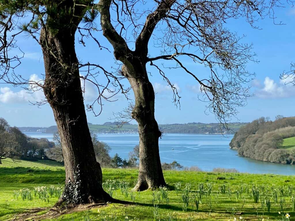 View of the River Fal from Trelissick