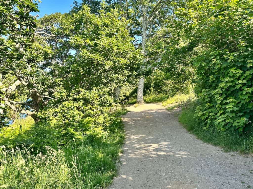 Trelissick Garden Review