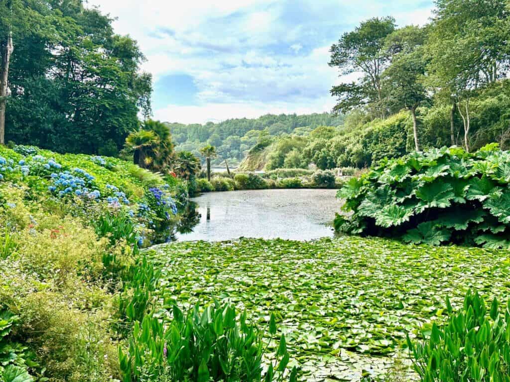 Trebah Garden
