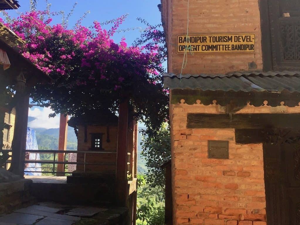 Blumen in Bandipur, Nepal
