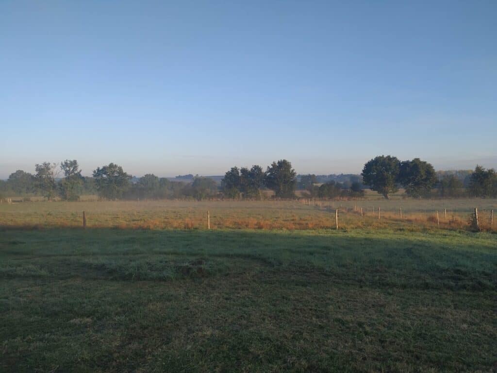 Pension canine près de Châteaubriant