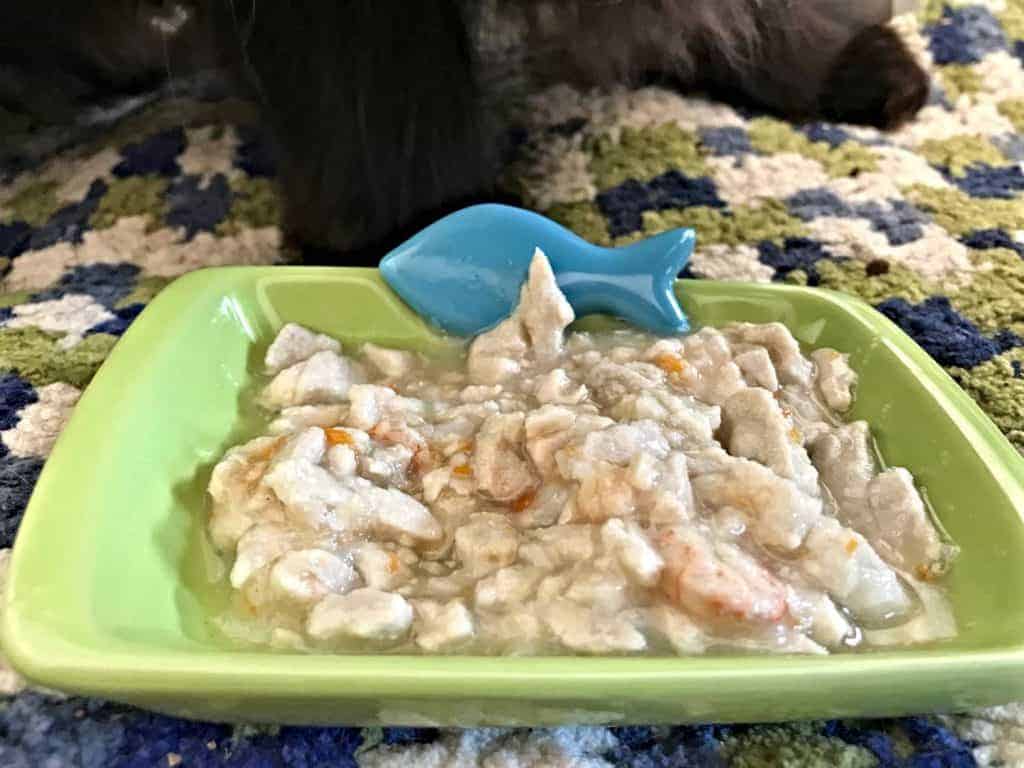 Canidae adore cat food shop