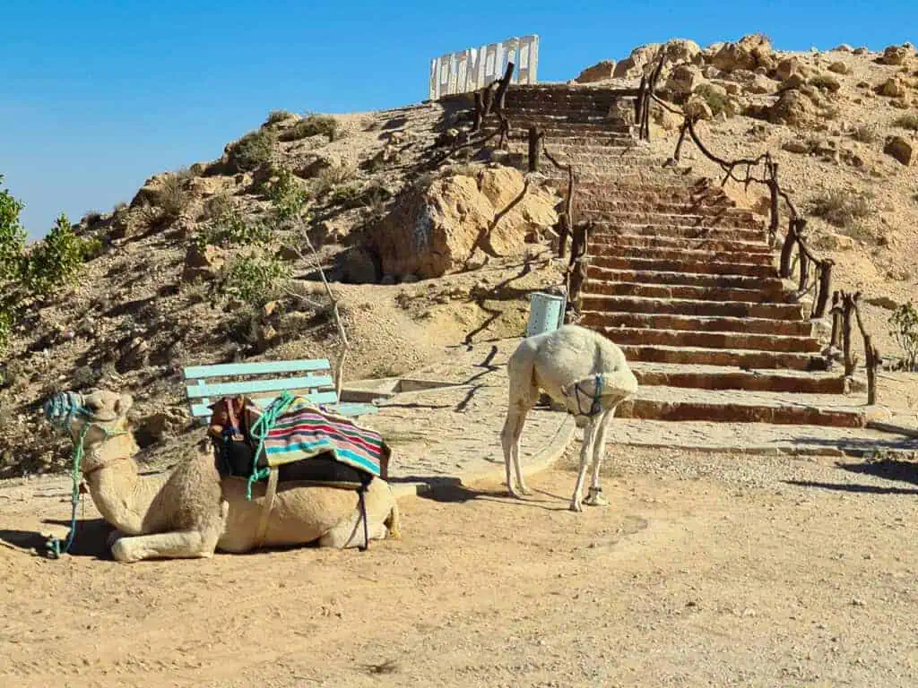 Two camels resting at the base of a viewpoint in Matmata, Tunisia, with desert landscape in the background