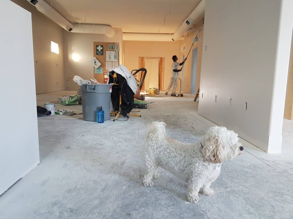 Home Maintenance - A Person Painting the Walls