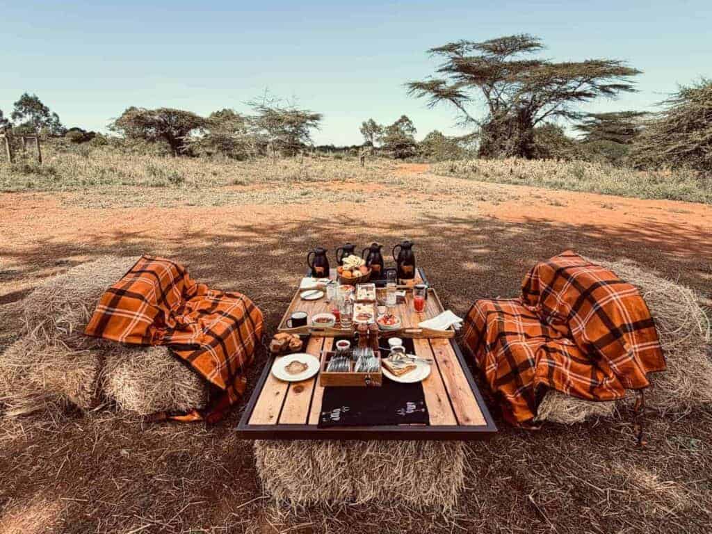 A rustic outdoor breakfast setup with wooden pallets and hay bales covered in orange Maasai shukas, arranged under a wide blue sky with savannah trees in the background. Just one of the memorable moments a travel planning service can help you with.