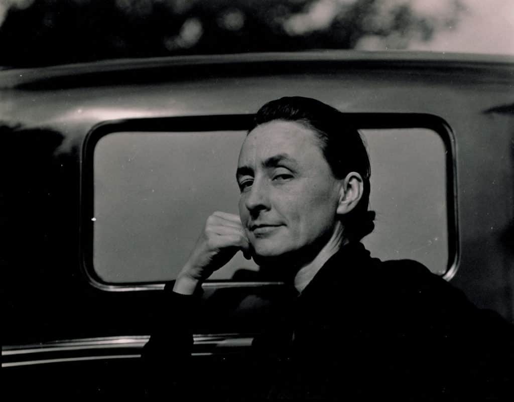 Georgia O’Keeffe After Return from New Mexico, 1929.