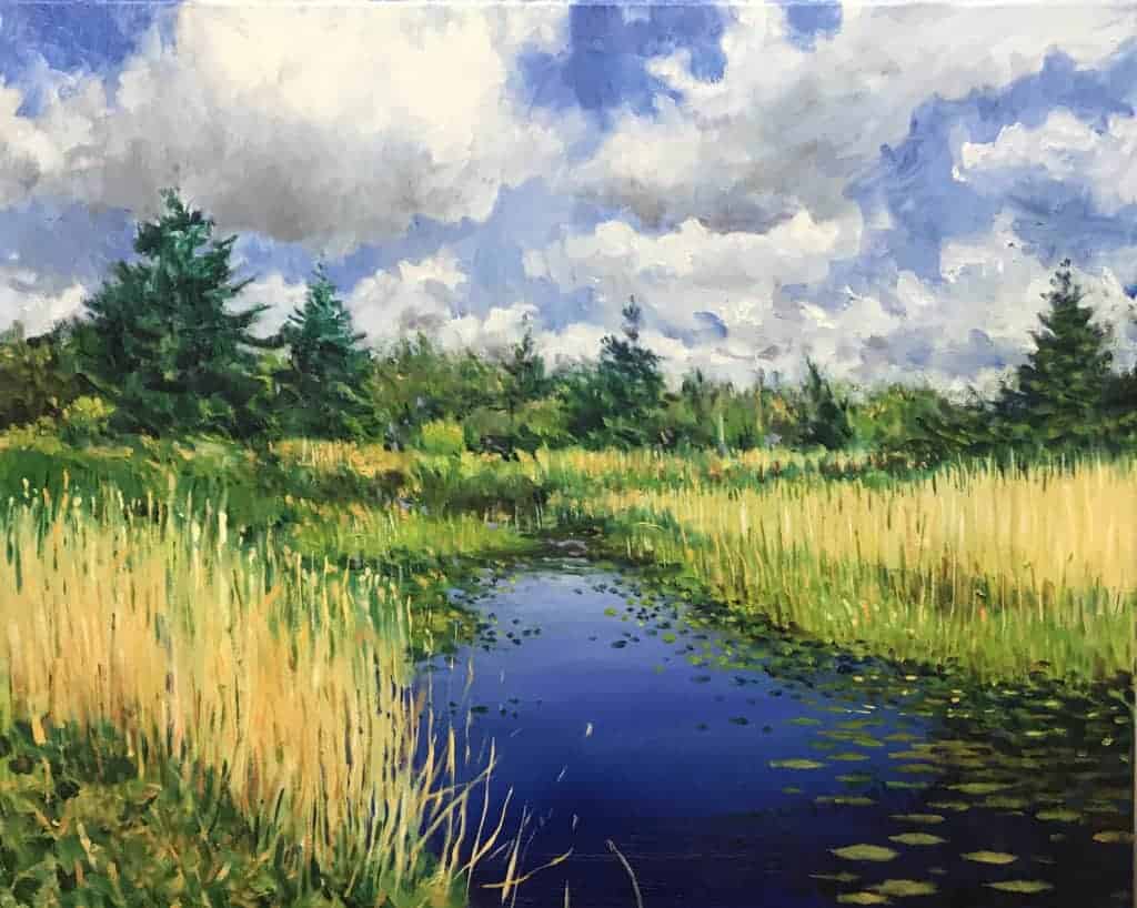 Marsh Near Diagonal Road