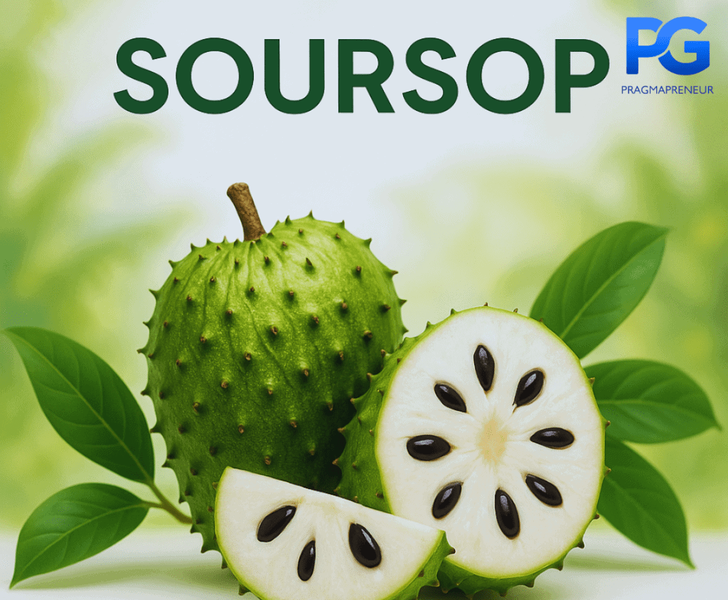 Soursop Benefits, Side Effects, and Safe Use | Health Benefits of soursop \ side effects of soursop
