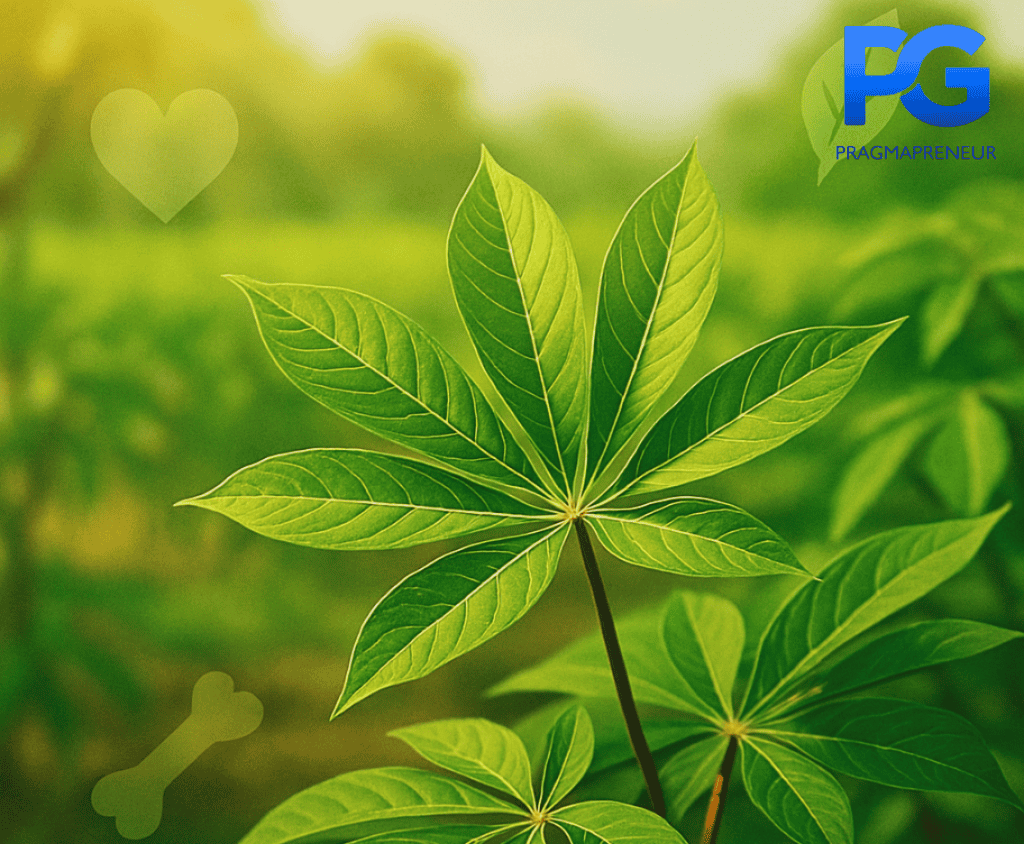 health benefits of cassava leaf