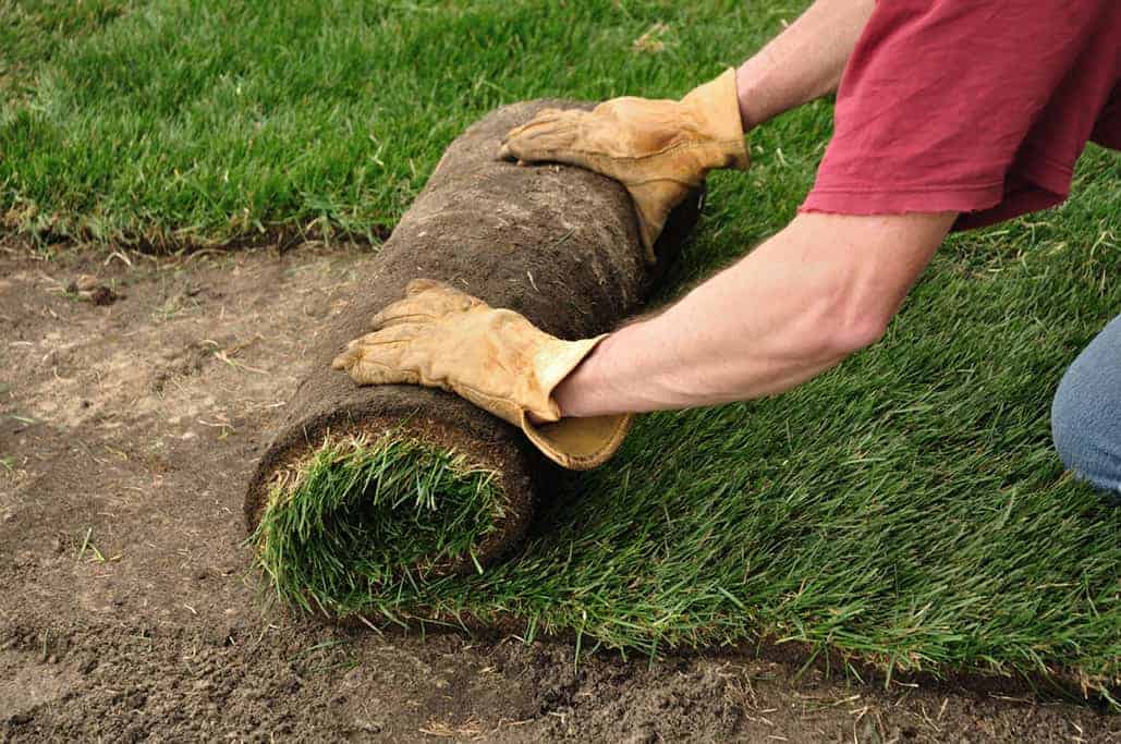 What-Is-Sod