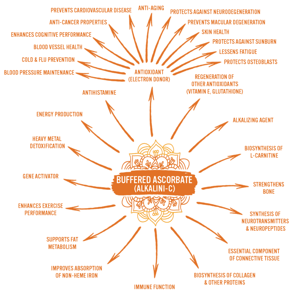 Ascorbate Benefits