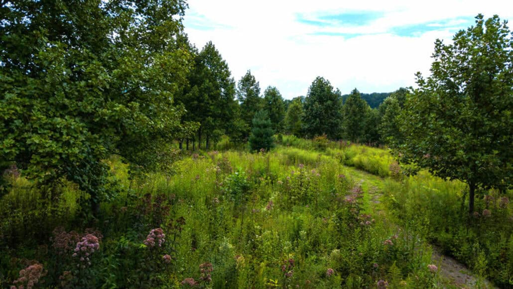 Carolina Memorial Sanctuary