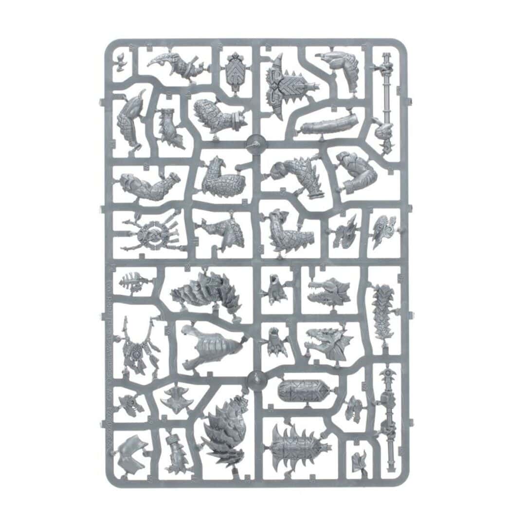 Spearhead - Seraphon - Warhammer - Age Of Sigmar - immagine 22