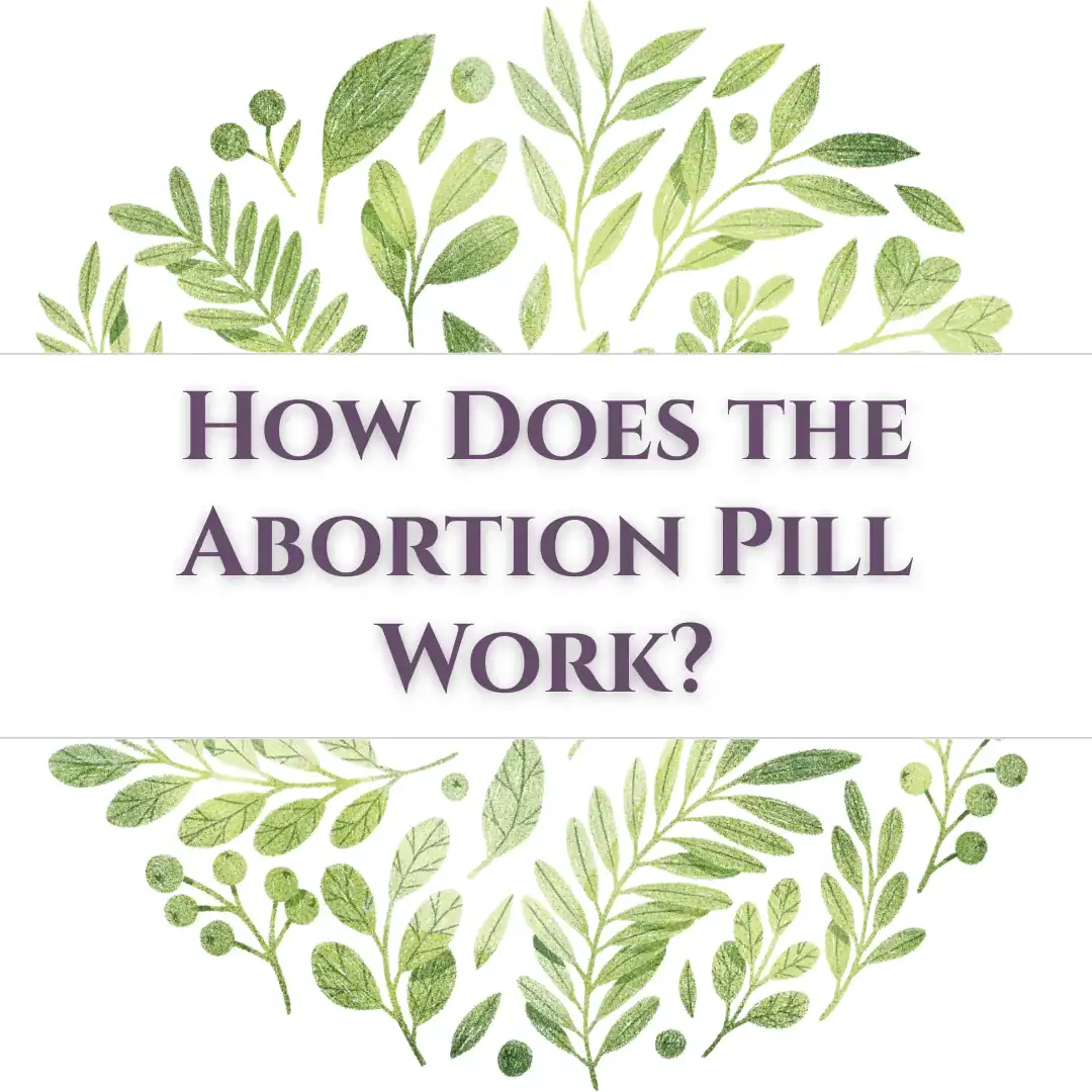 How Does the Abortion Pill Work?