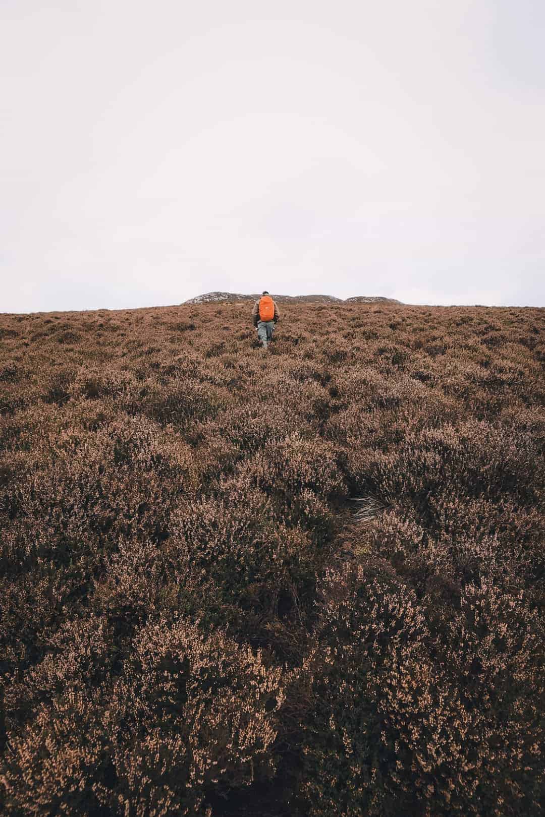 A hiker with an orange backpack climbs up a hillside covered in brown heather, heading toward the summit of Knocknacloghoge under a pale, overcast sky. The scene evokes a sense of solitude and adventure in the rugged landscape.