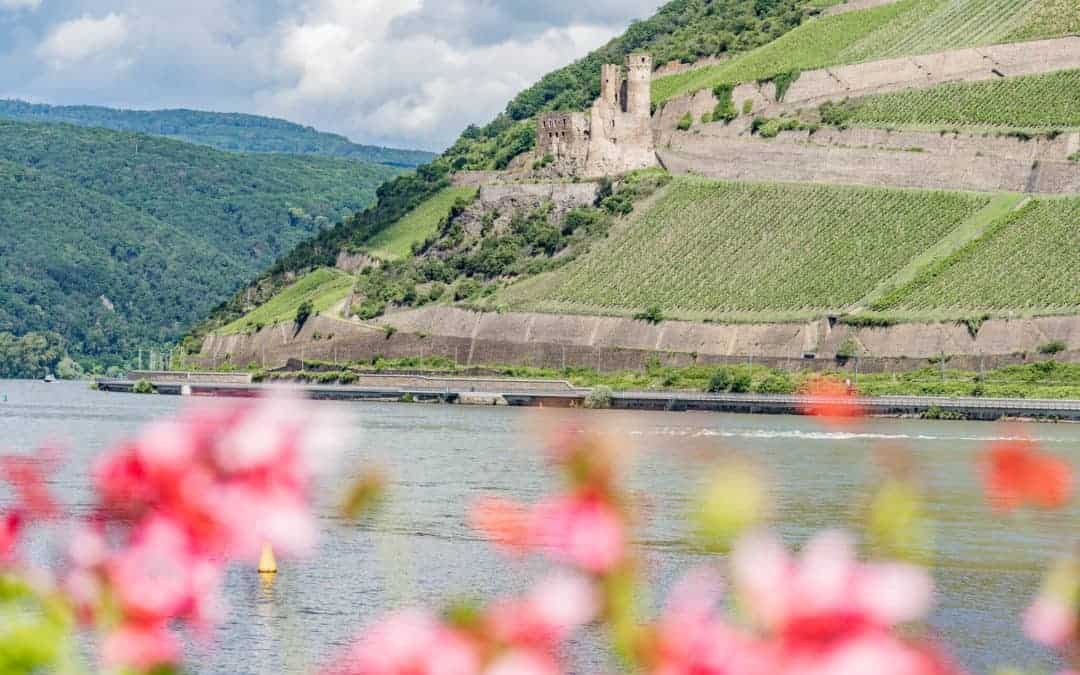 Bingen – Rhein-Romantik zwischen Reben und einer Heiligen