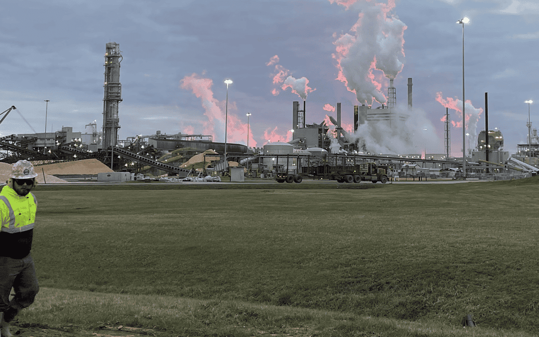 A CJGeo worker pulling a rose through a field with a paper mill in the background during sunset.