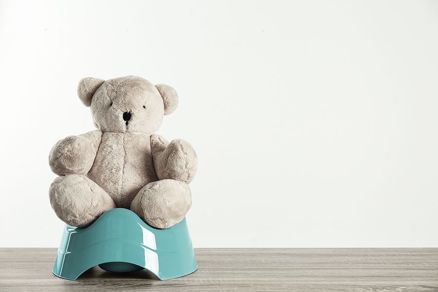 Toddler’s Potty Training