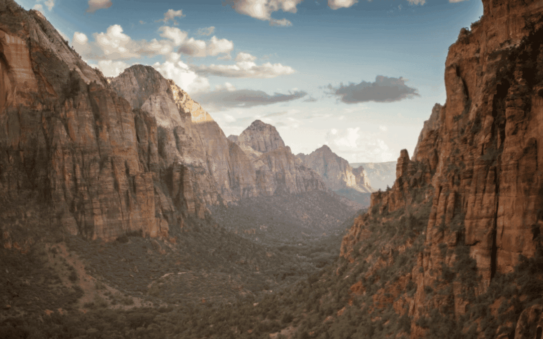 The Wide Agency Divide