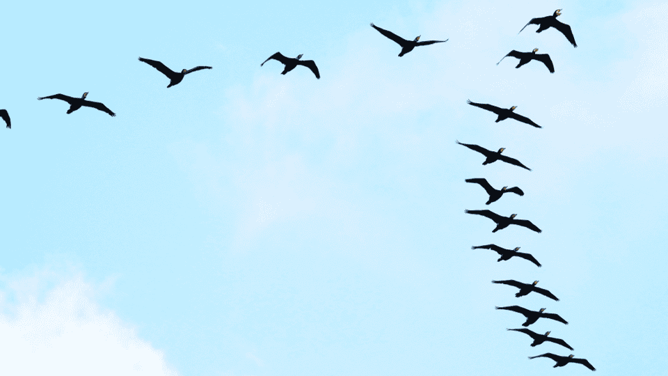 New Agency Research: Clear Leaders & A Crowded Middle – 2025 Digital Agency Web Host Report