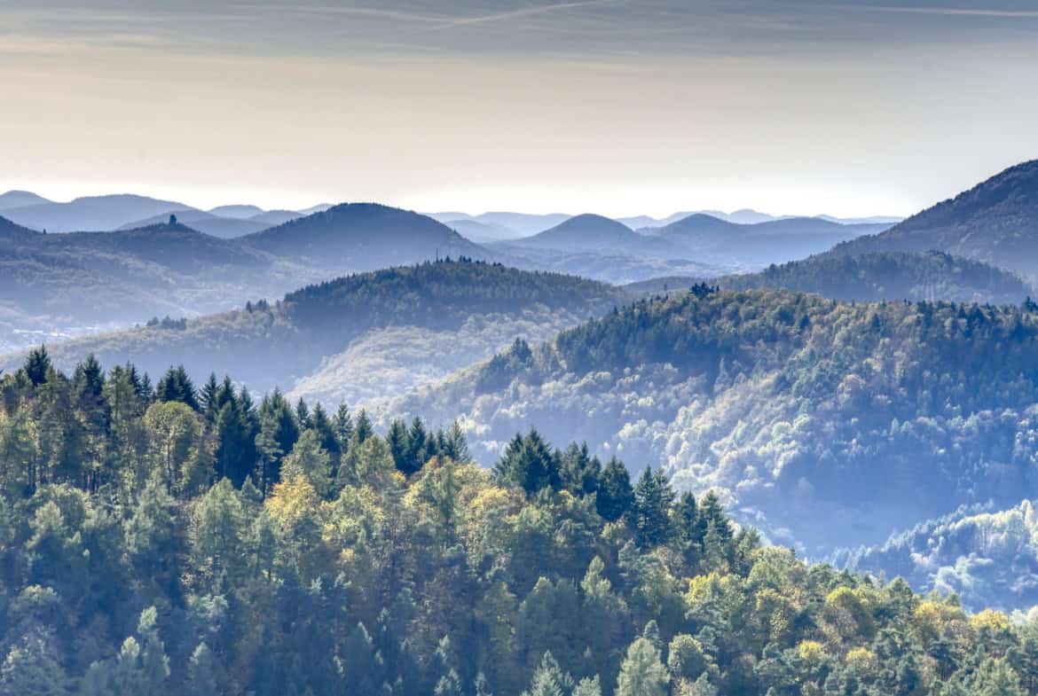 Tour Teaserbild Pfalz Kaiserslautern Wolfstein