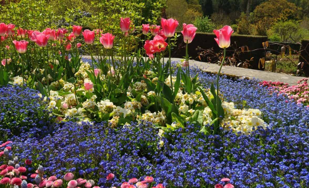 Easily Bringing That Feel-Good Factor To Your Garden
