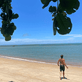 Um homem sem camisa caminha na areia clara de uma praia tropical em direção ao mar azul-esverdeado, sob um céu claro e com folhas verdes no topo.