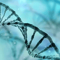 Uma representação digital detalhada de uma molécula de DNA em dupla hélice, com tons vibrantes de azul e verde-água, sobre um fundo abstrato e desfocado com pontos de luz.