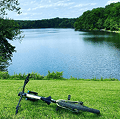 Uma bicicleta preta está deitada na grama verde exuberante, com um lago sereno e árvores densas ao fundo sob um céu azul claro.
