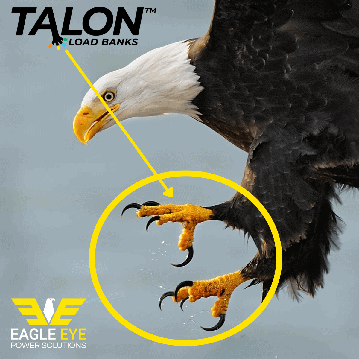 Bald eagle flying with its talons highlighted, featuring Talon AC Load Banks and Eagle Eye Power Solutions branding.