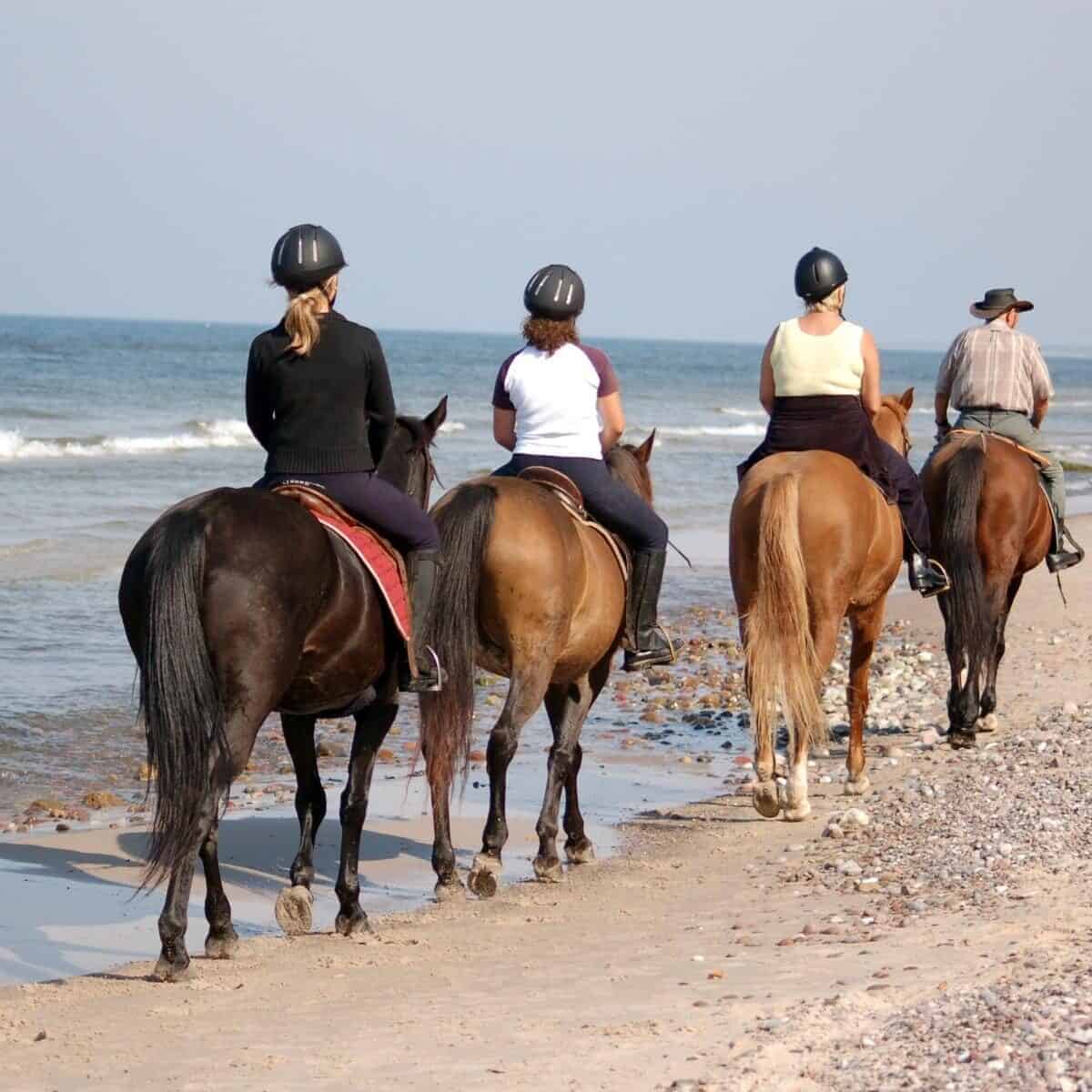 people horseriding of different shapes