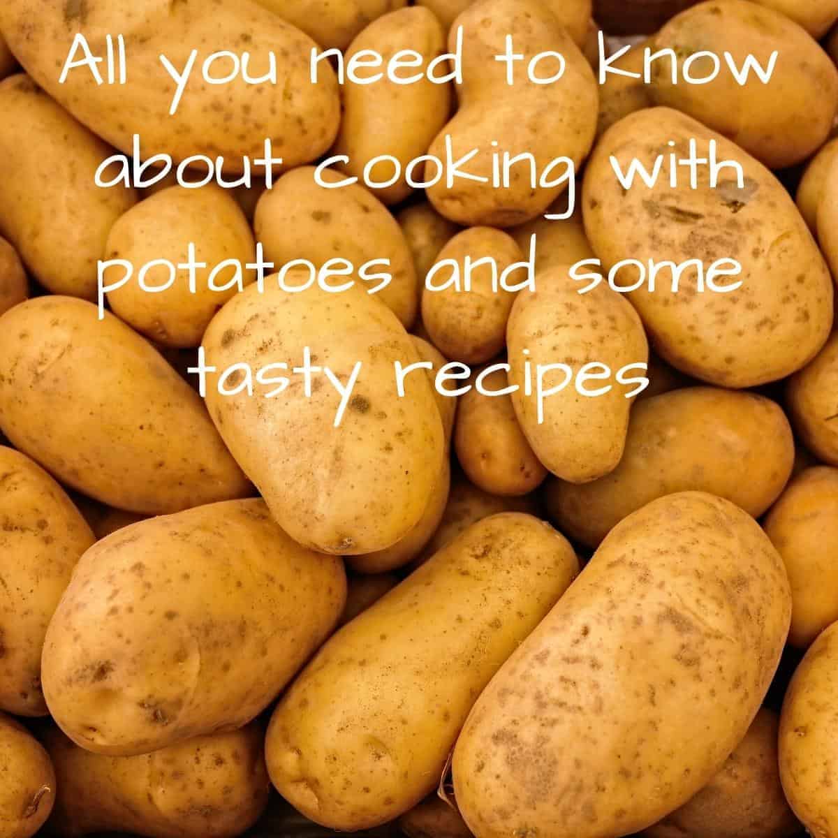 A large pile of potatoes
