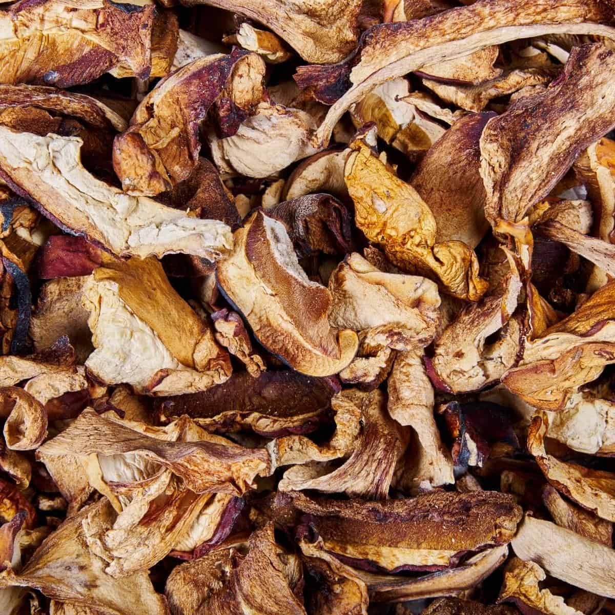 dried mushrooms
