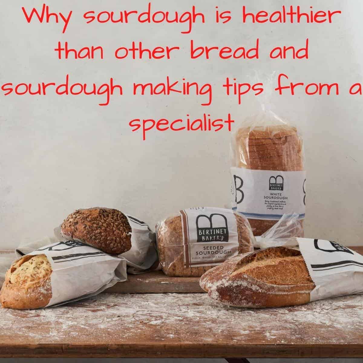 Why sourdough is healthier than other bread and sourdough making tips from a specialist