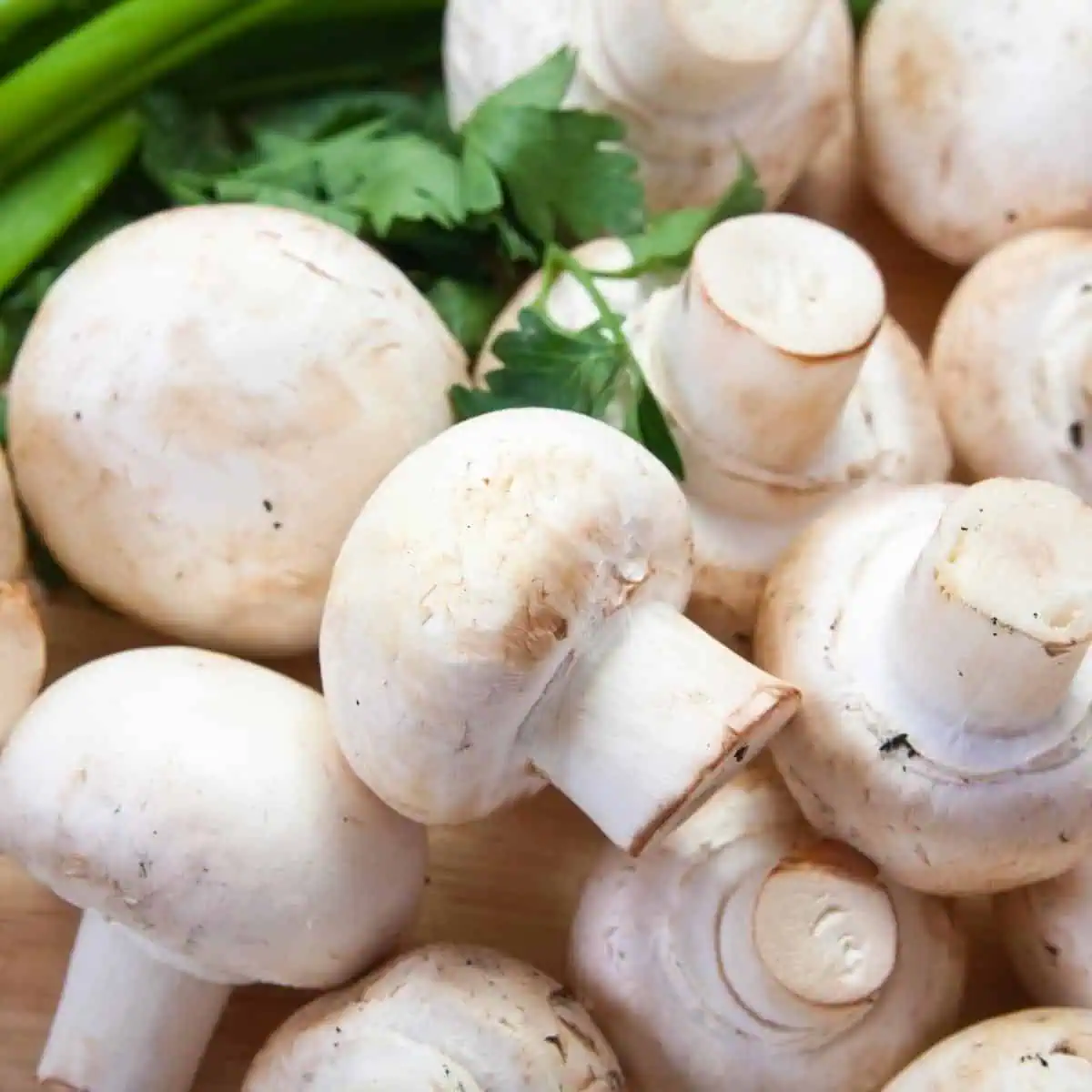 Raw white mushrooms.