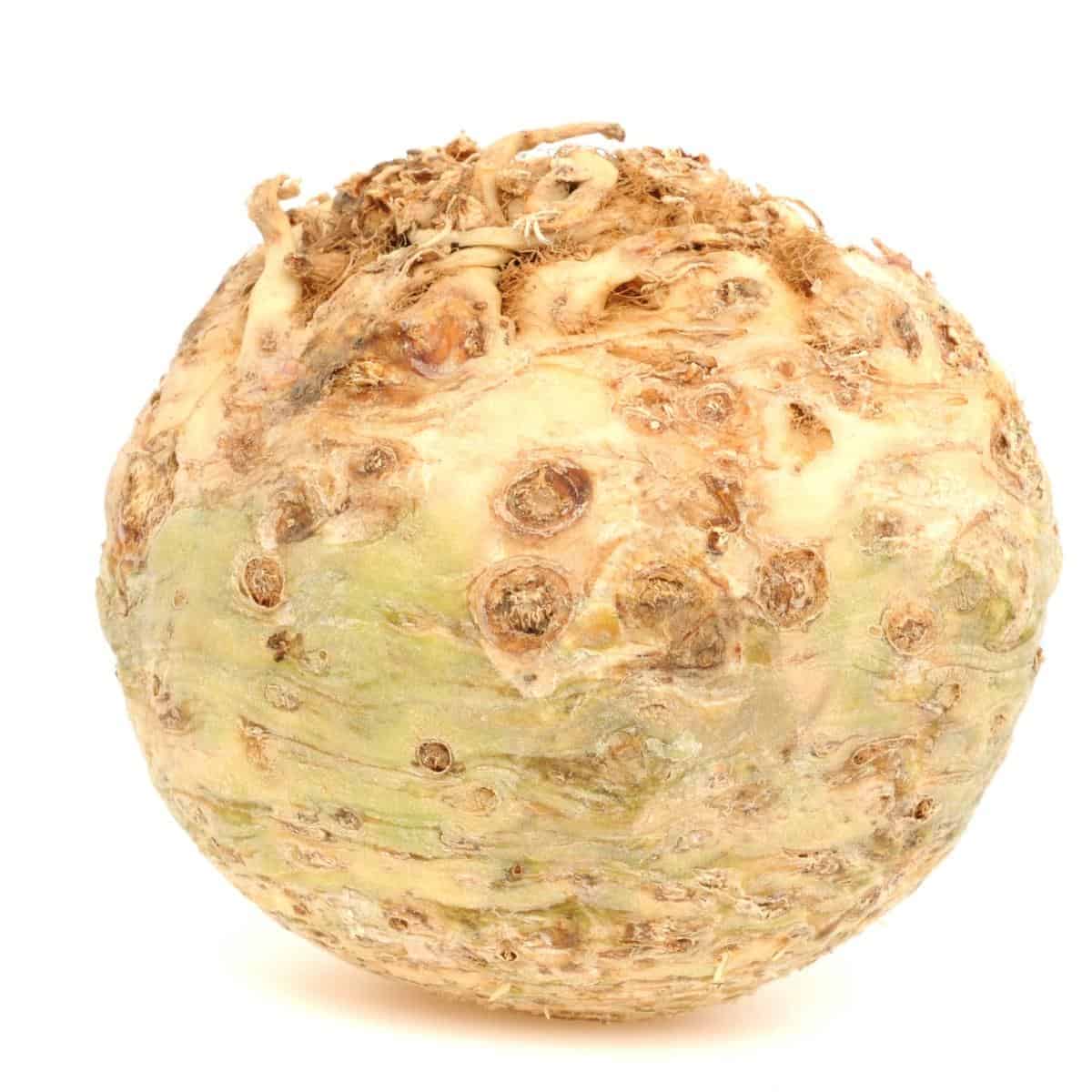 celeriac on a white background