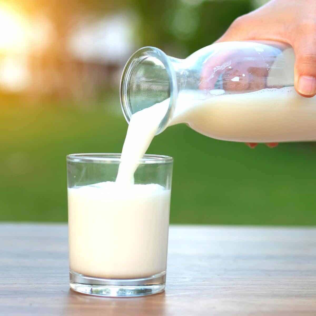 Slimming World healthy extra a milk