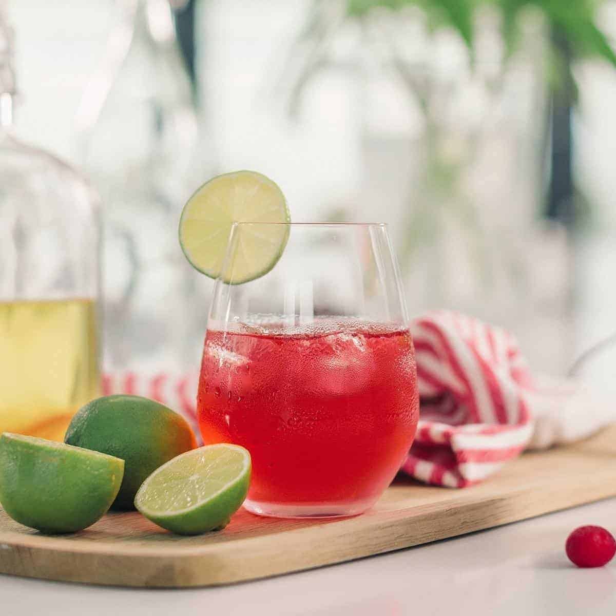 cranberry and apple cider vinegar drink in glass with lime