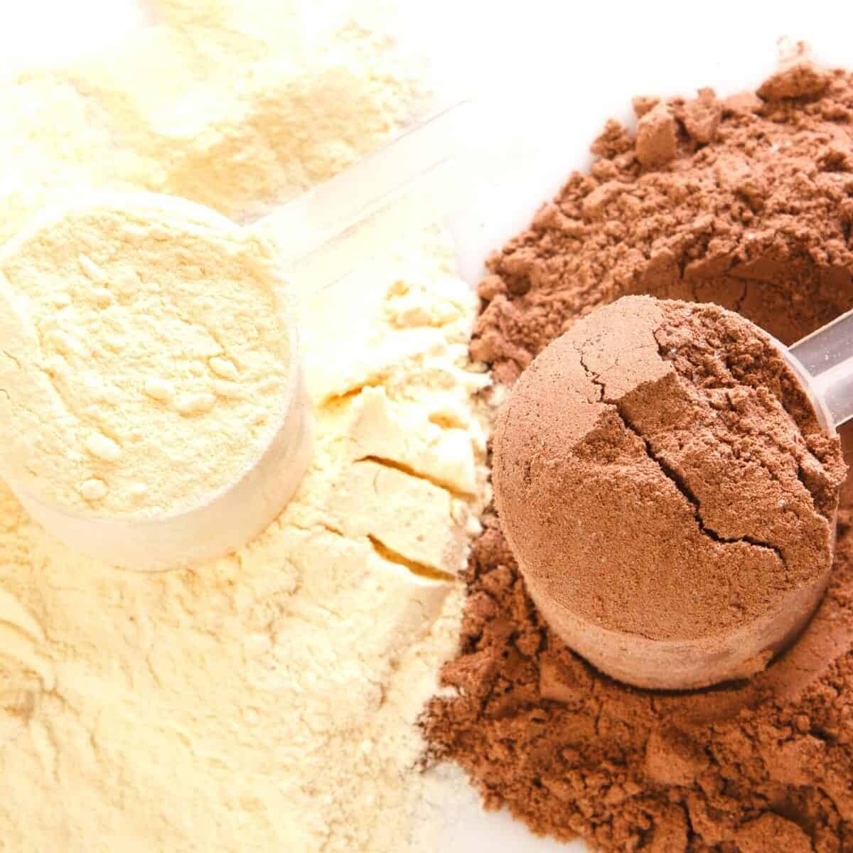 scoops of protein powder one white one brown