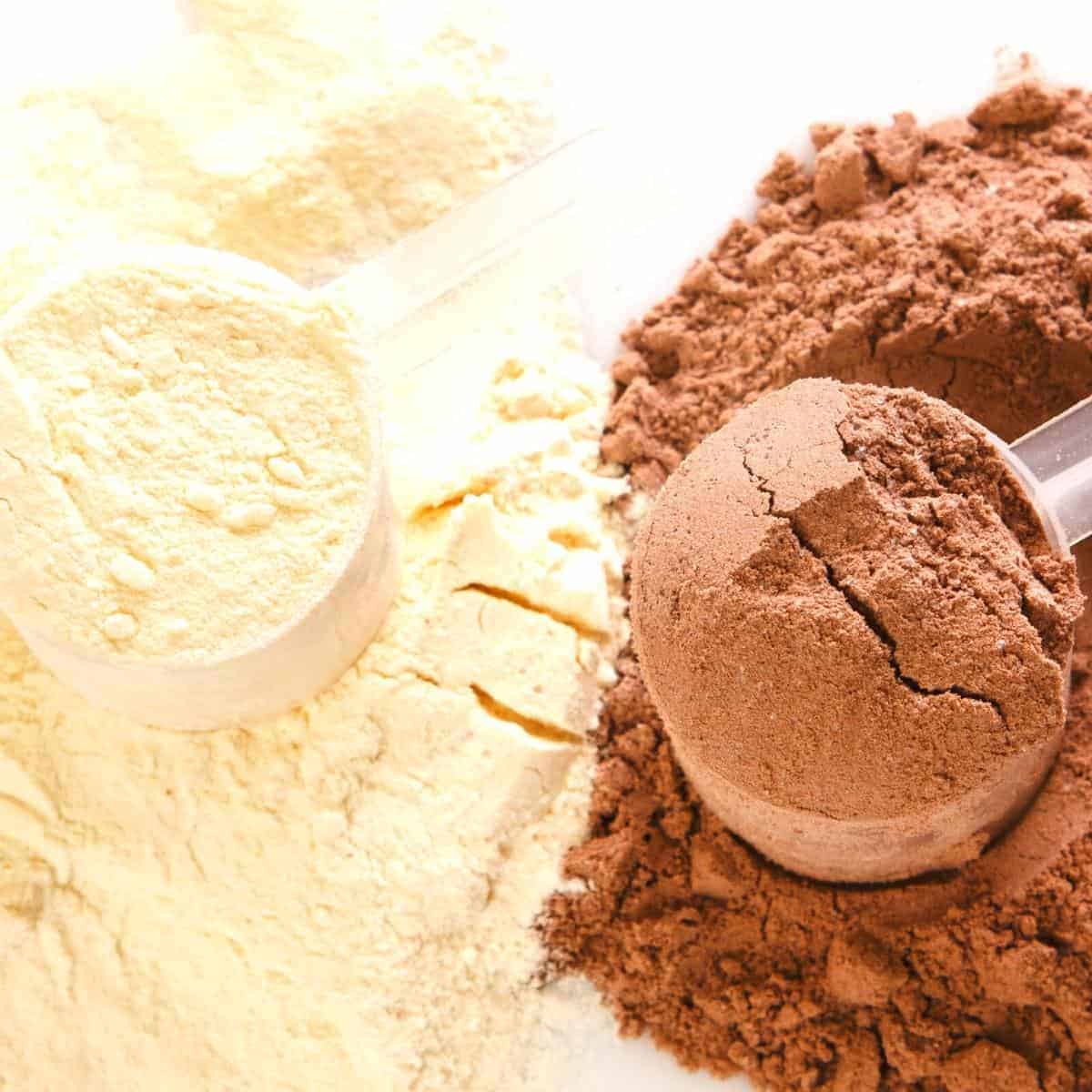 scoops of protein powder one white one brown