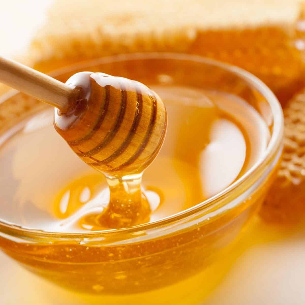 honey in a glass bowl with a honey stirrer.