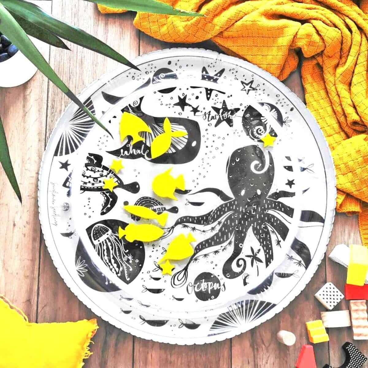a plate with a design on it