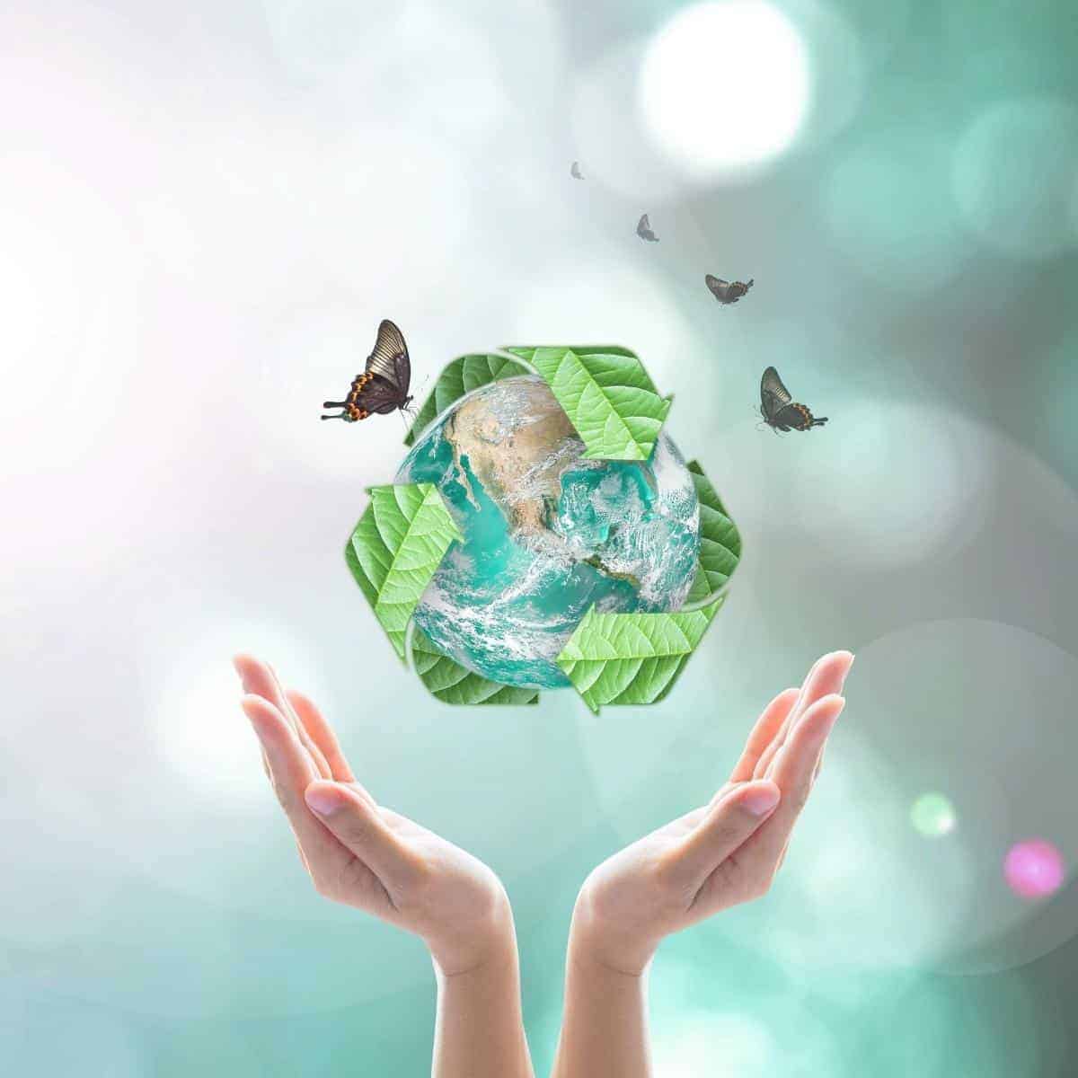 eco friendly hands holding a globe