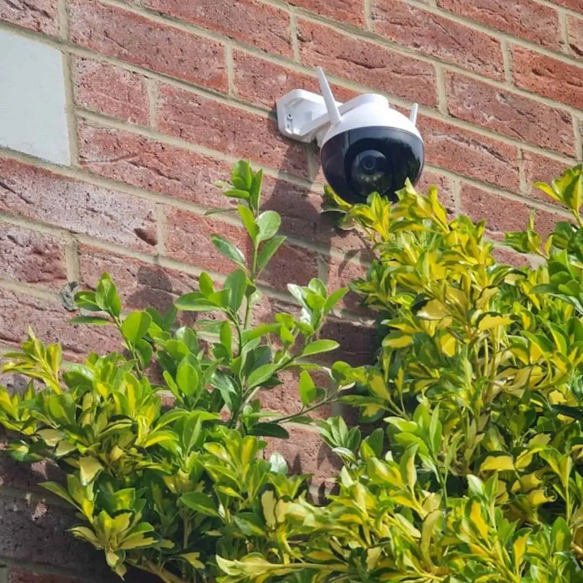 security camera on a brick side of a house.