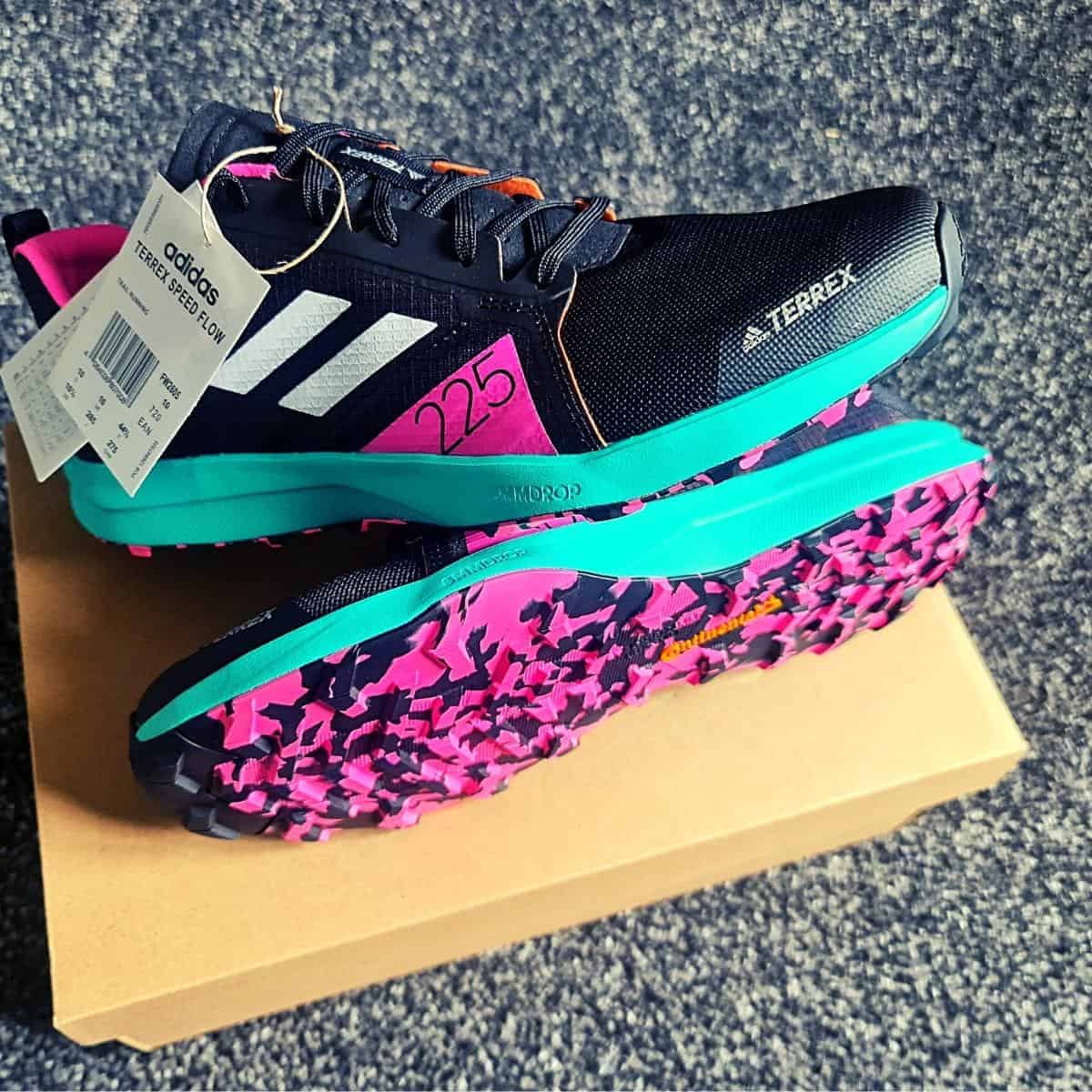 Black and teal Adidas Terrex trail running shoes with pink accents, perfect shoes for walking, elegantly placed on a cardboard box. Tags attached.