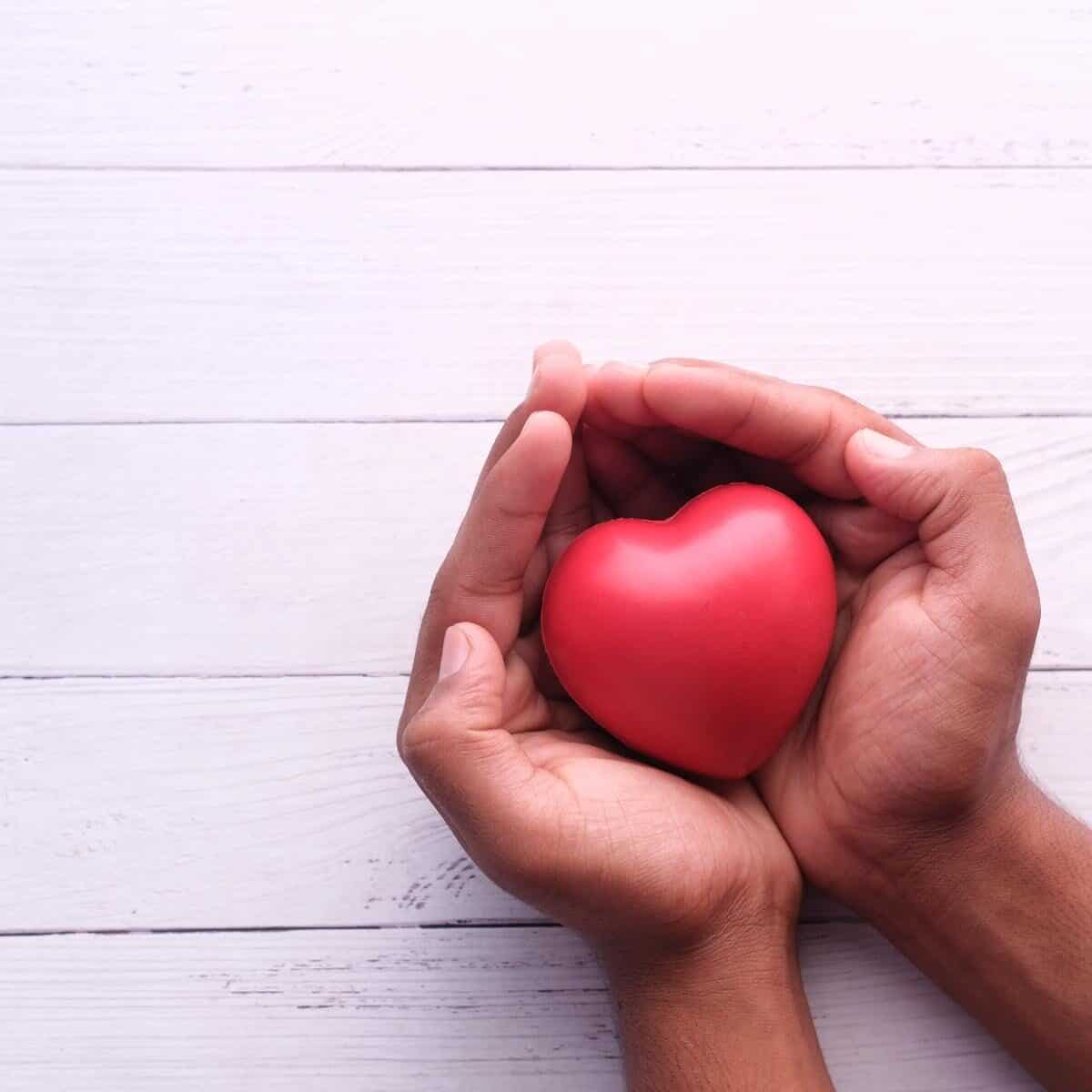 heart in hands