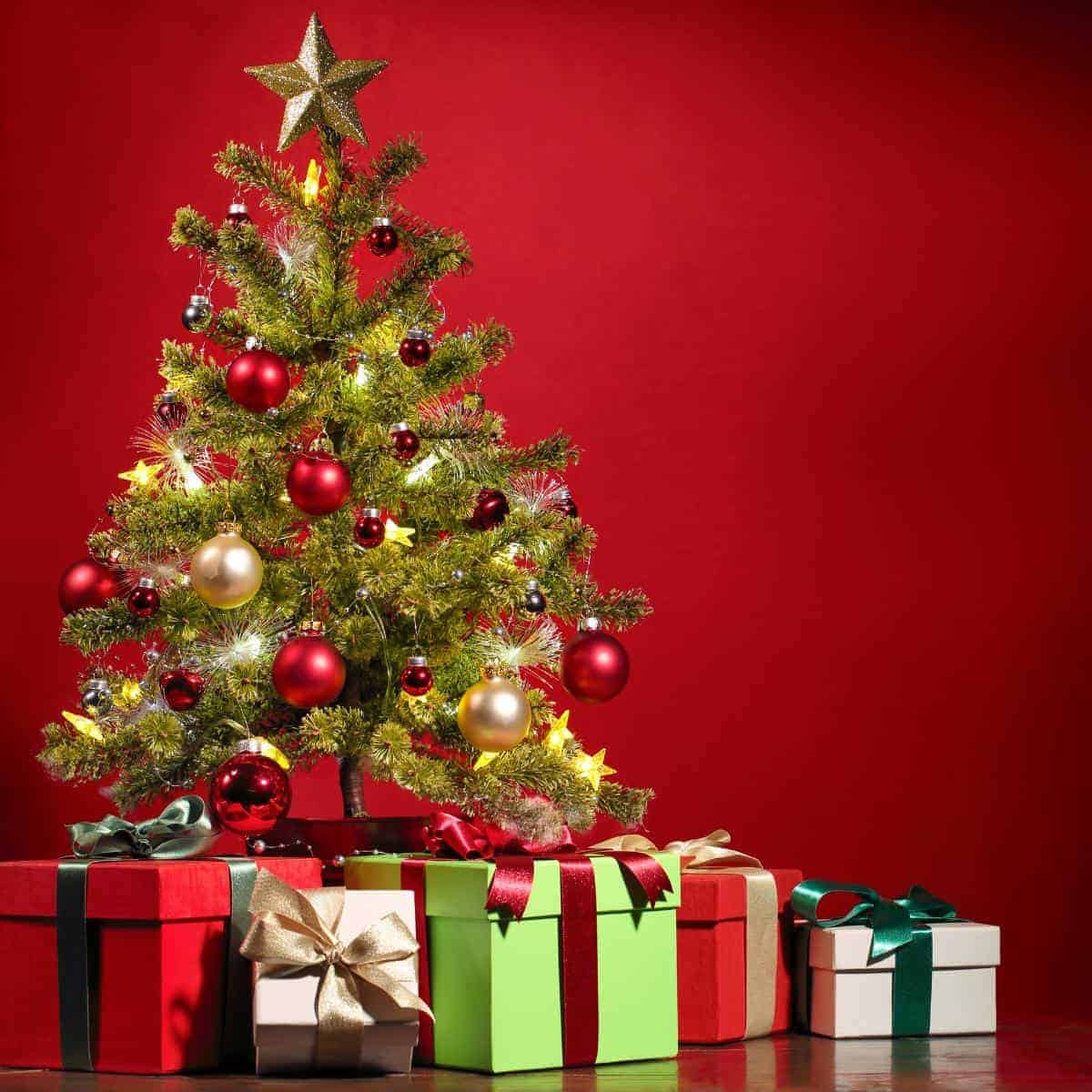 Christmas tree with presents under on red background